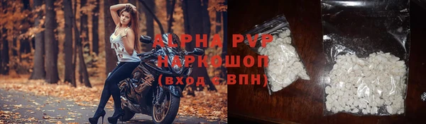 гашик Бородино
