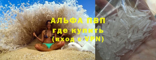гашик Бородино