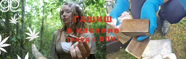 гашик Бородино
