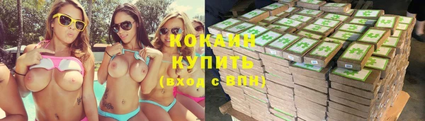 гашик Бородино