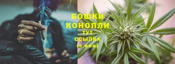 гашик Бородино