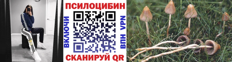Галлюциногенные грибы мухоморы  Губаха 